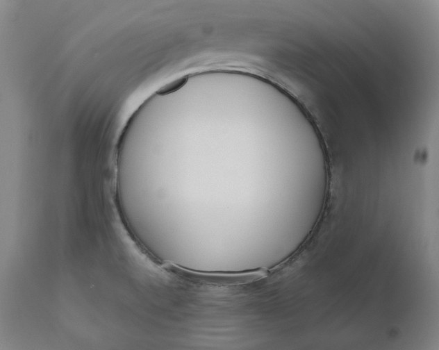 X0000110691520200907021922