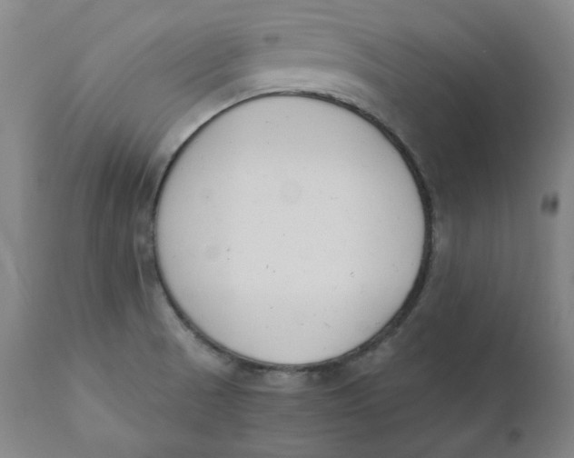 X0000110691521200907021922