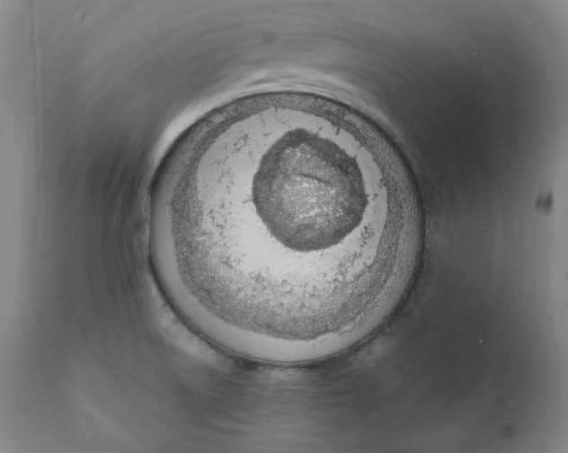 X0000110691522200907021922