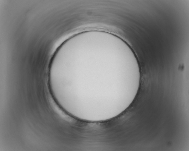 X0000110691523200907021922