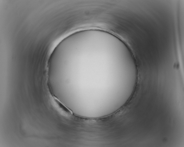 X0000110691524200907021922