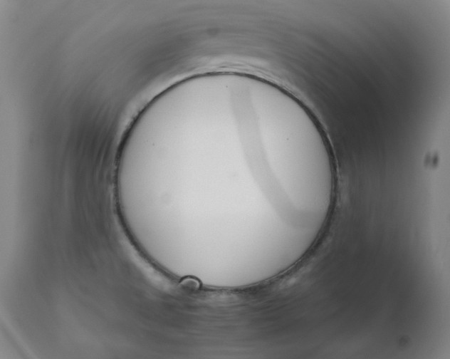 X0000110691525200907021922