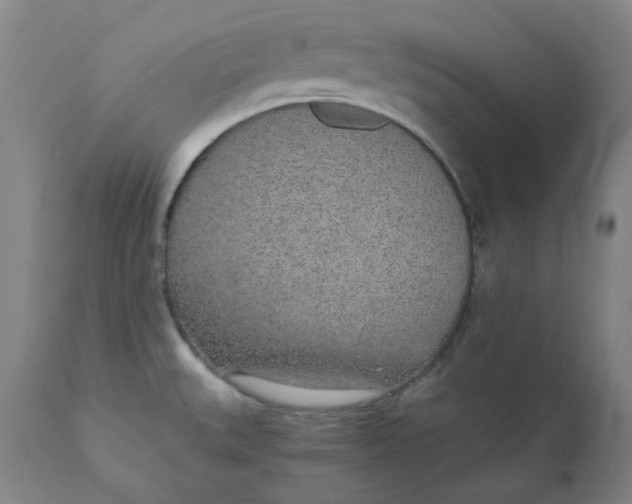 X0000110691527200907021922