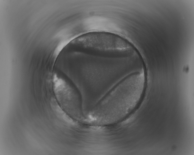 X0000110691529200907021922