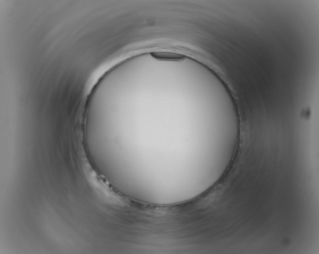 X0000110691530200907021922