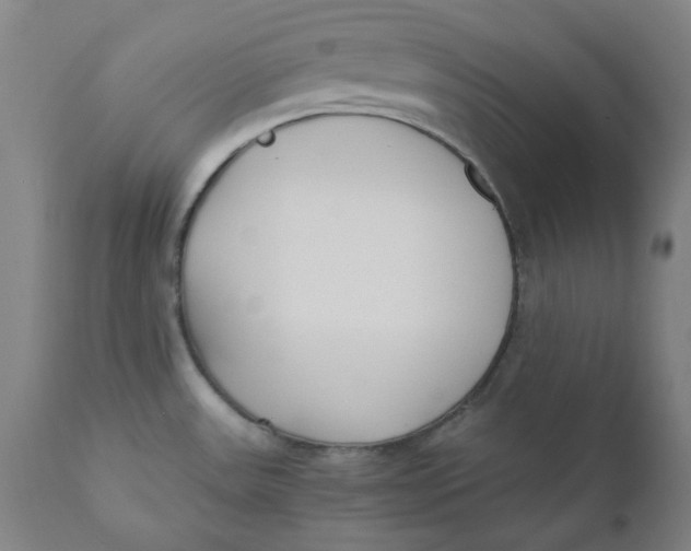 X0000110691531200907021922