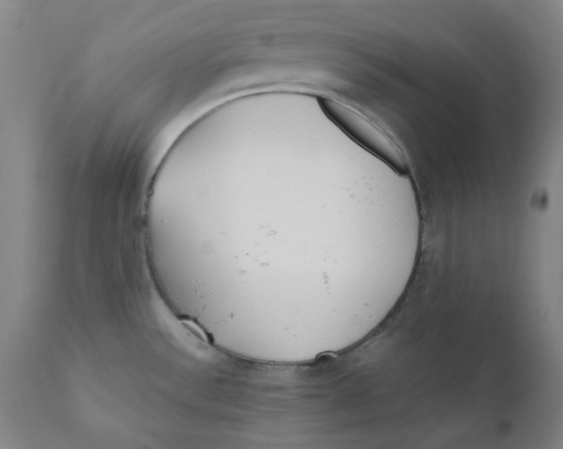 X0000110691532200907021922