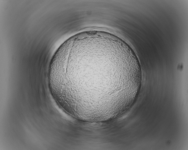 X0000110691533200907021922