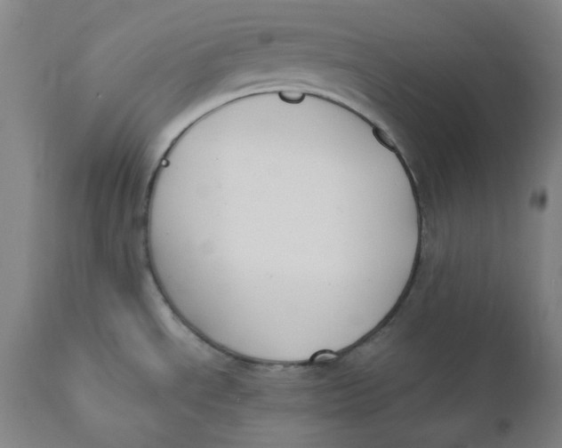 X0000110691534200907021922