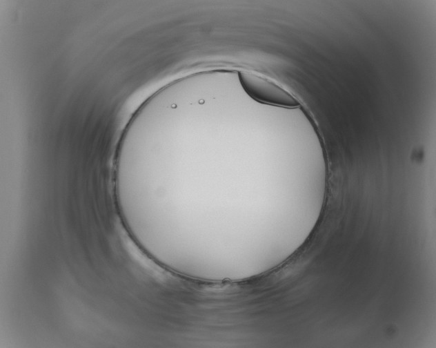 X0000110691535200907021922