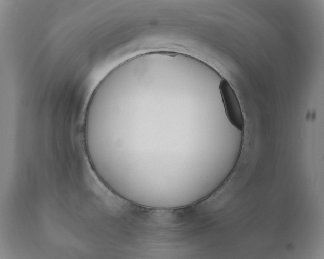 X0000110691536200907021922