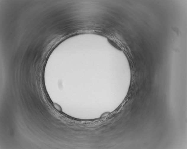 X0000110690001200907101158