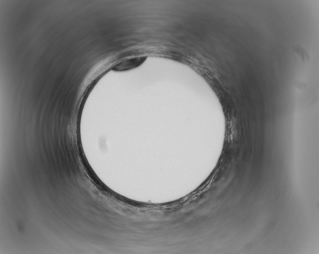 X0000110690004200907101158