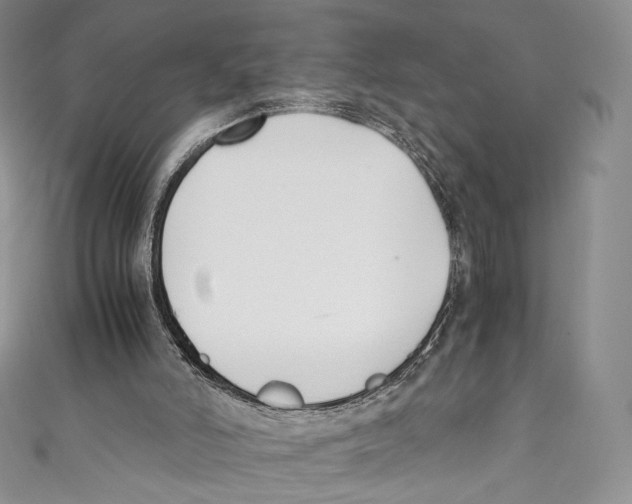 X0000110690006200907101158