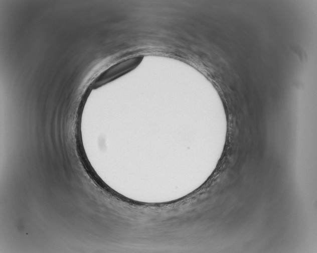 X0000110690007200907101158