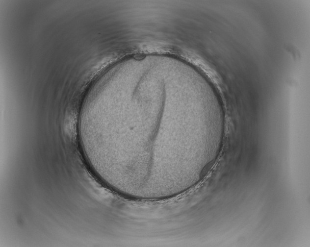 X0000110690009200907101158