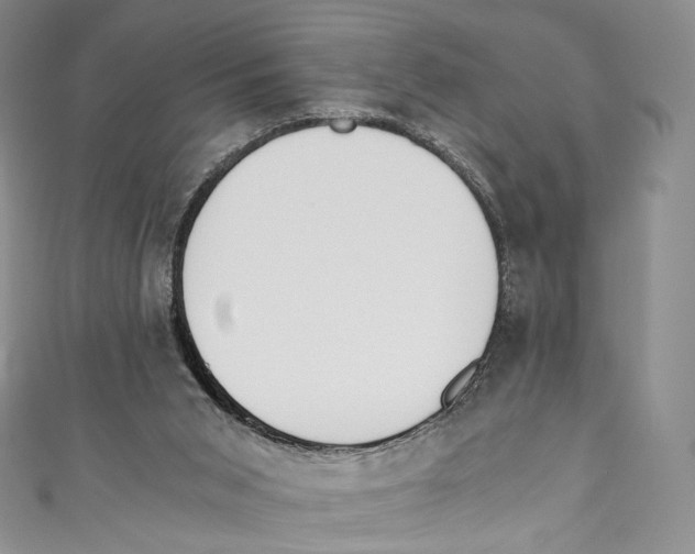 X0000110690015200907101158