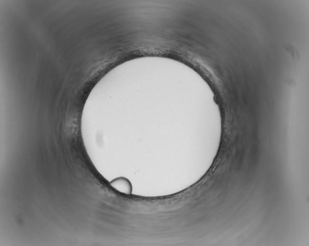 X0000110690017200907101158