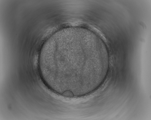 X0000110690018200907101158