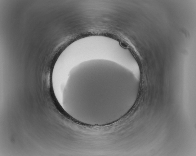 X0000110690019200907101158