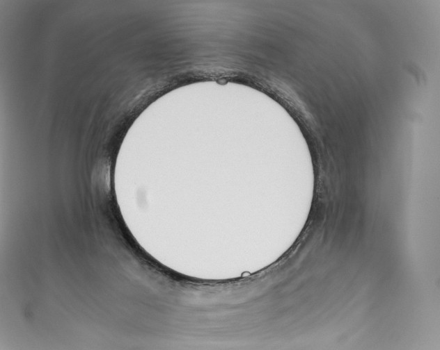 X0000110690021200907101158