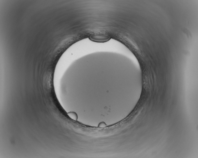 X0000110690023200907101158