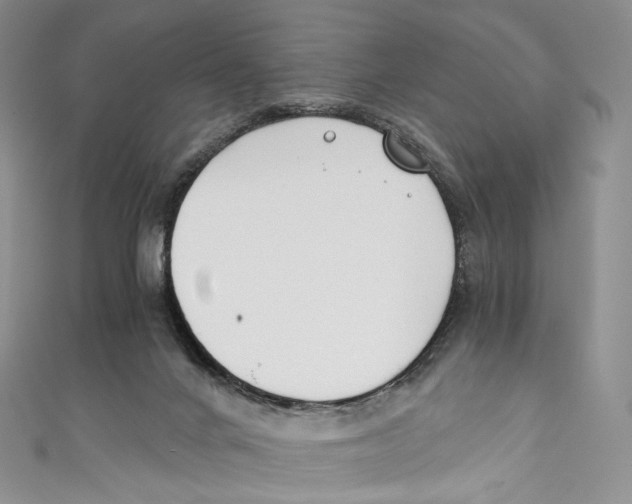 X0000110690024200907101158