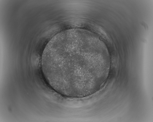 X0000110690029200907101158