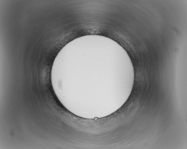 X0000110690030200907101158