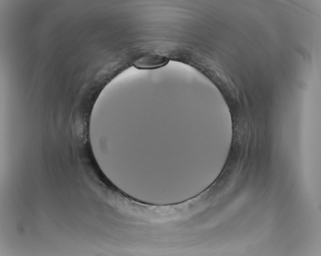 X0000110690031200907101158