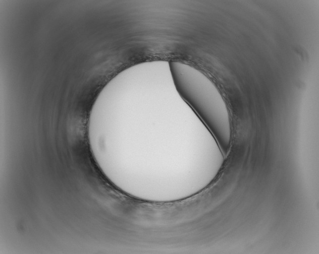 X0000110690033200907101158