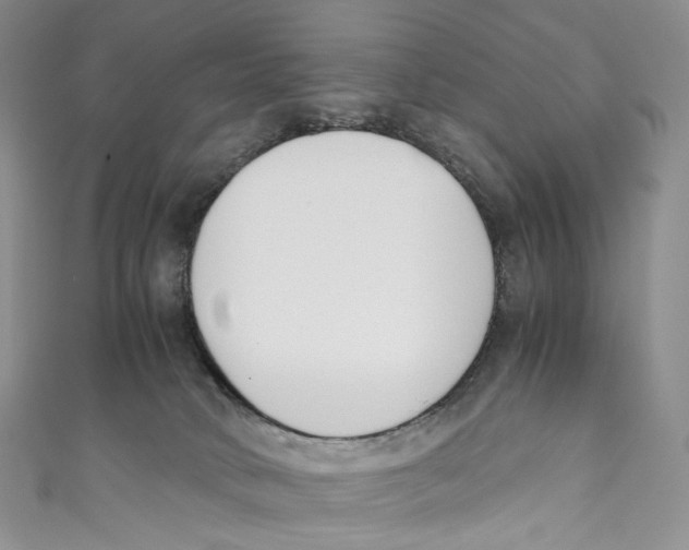 X0000110690034200907101158