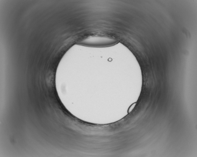 X0000110690036200907101158