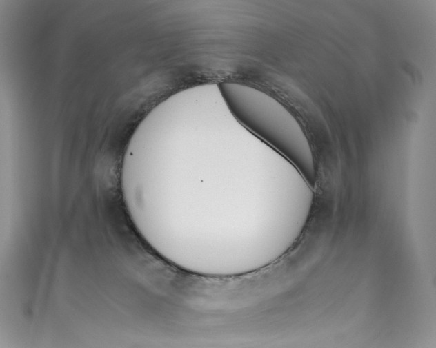 X0000110690037200907101158