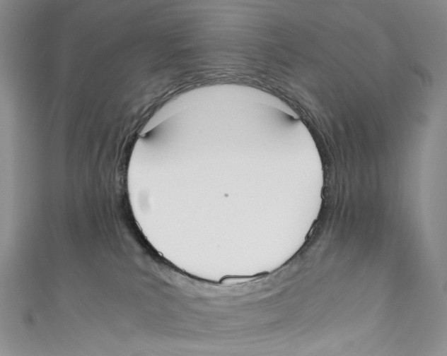 X0000110690039200907101158