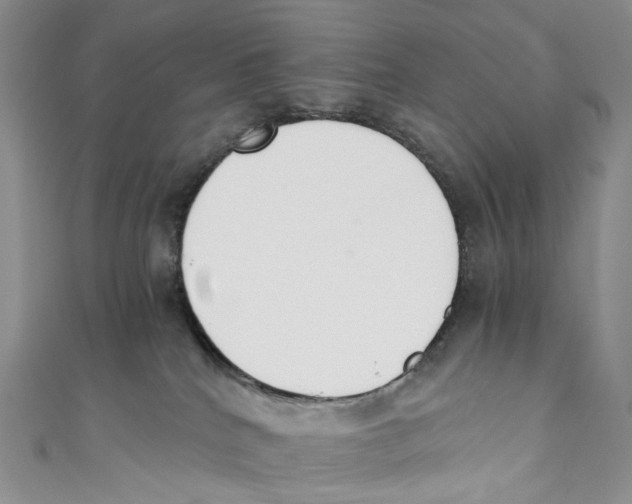 X0000110690040200907101158