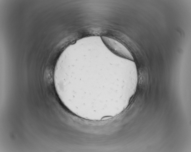 X0000110690043200907101158