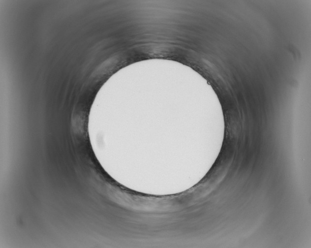 X0000110690044200907101158