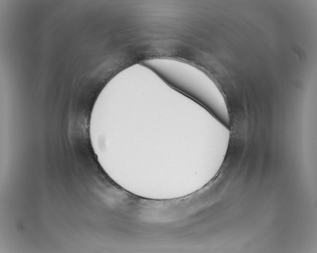 X0000110690045200907101158