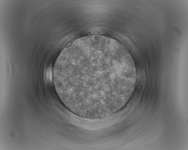 X0000110690046200907101158