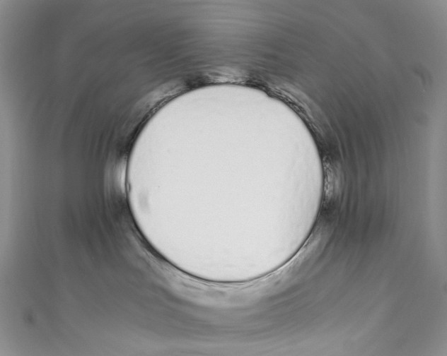 X0000110690047200907101158