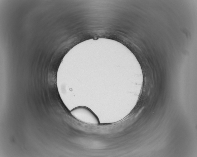 X0000110690048200907101158