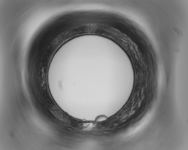 X0000110690050200907101157