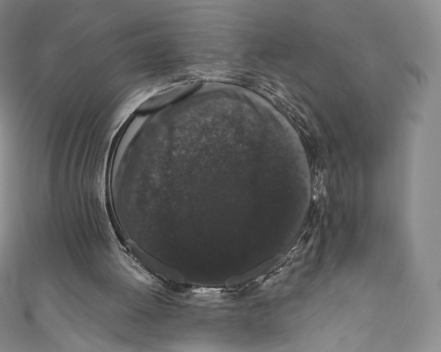 X0000110690052200907101157