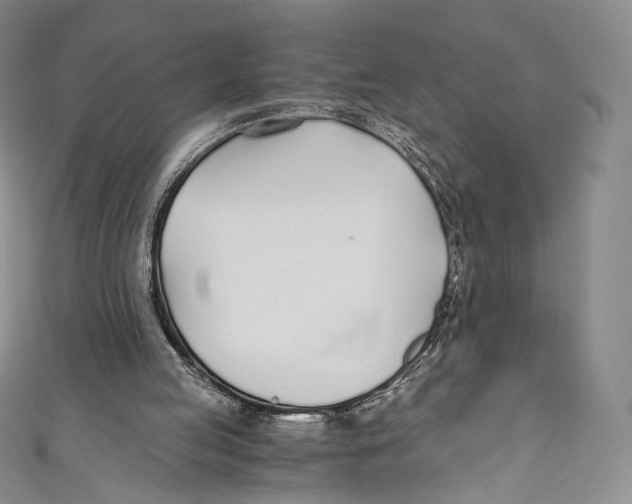 X0000110690053200907101157