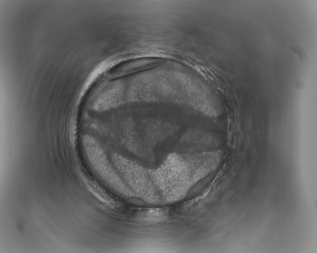 X0000110690056200907101157