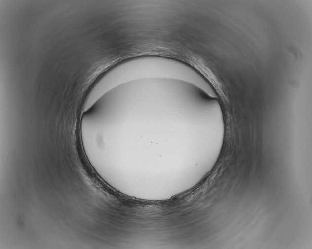 X0000110690058200907101157