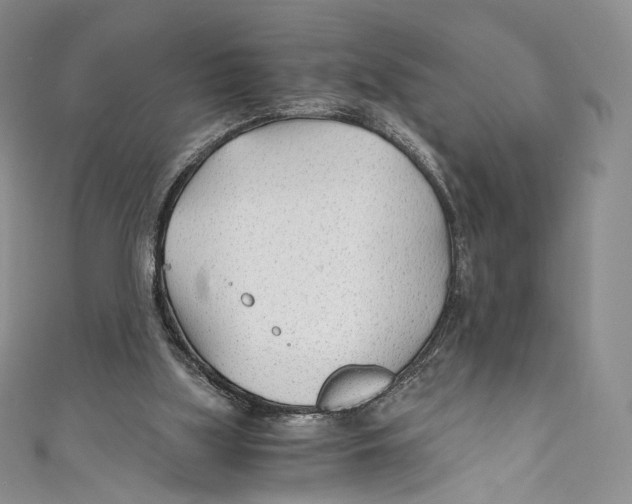 X0000110690059200907101157