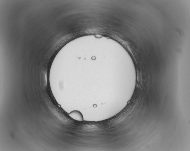 X0000110690061200907101157