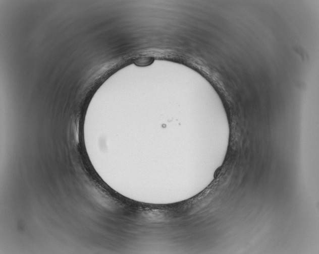 X0000110690062200907101157